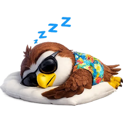 Pip sleeping while a hotel price drops unnoticed
